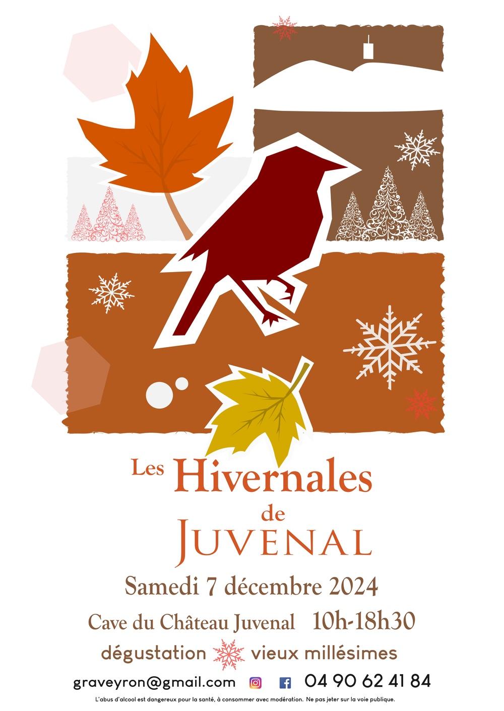 Affiche hivernales sapin