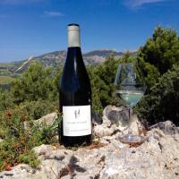 Ribes blanc dans les dentelles